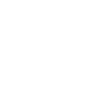 Business Dog - About Us