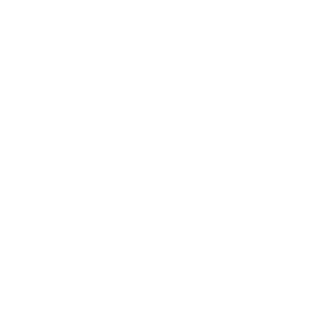 Business Dog - Lead Times